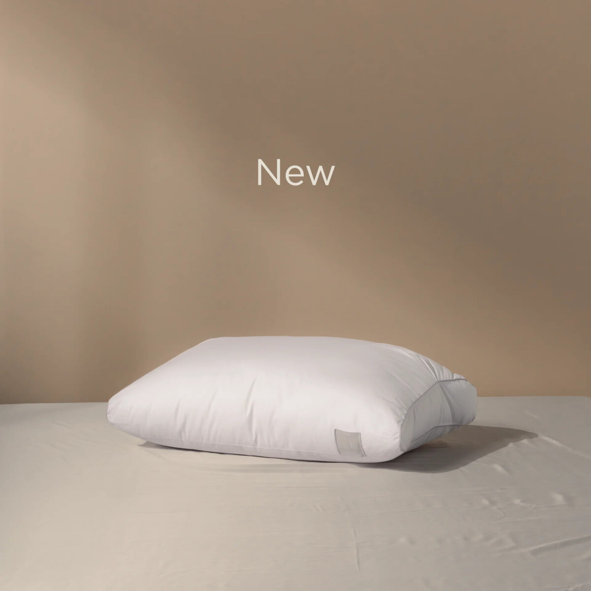 THE NEW BODY SCALE PILLOW NO 1 With Cotton Cover
